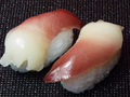 SKN000050Aにぎり寿司ほっき貝小A