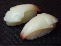 SKN000052Bにぎり寿司みる貝大