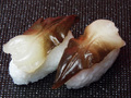 SKN000047Aにぎり寿司鳥貝小
