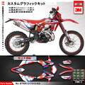 グラフィック デカール ステッカー 車体用 / ベータ RR 250 300 350 390 430 480 2013-2017 / Kungfu Graphics カンフーグラフィックス / BTRR1317015-KO