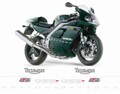 グラフィック デカール ステッカー 車体用 / トライアンフ 955i DAYTONA デイトナ 955i / 2002 SE