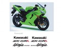 グラフィック デカール ステッカー 車体用 / カワサキ ZX-6RR NINJA ニンジャ 2004-2005 / ブラック