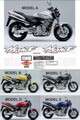 グラフィック デカール ステッカー 車体用 /  Honda ホンダ  Hornet ホーネット1996-2007 /  1998-2000