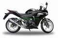 イタリア GPR GPEPO カーボンルック ステンレス スリップオン マフラー CBR250R 11-12H.194GPEPO
