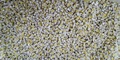 2.8mmx3.2mmチップLED(白色) 50個