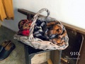 完売＊ICHI Antiquites リネンクラシックタータンのストール