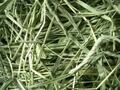 牧草　一番刈りチモシー　５００ｇ