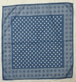 ABD-013 BANDANA #DOT
