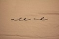 ALL OK　全許Tシャツ