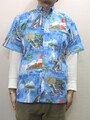 クリックで画像を表示