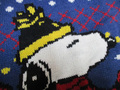 クリックで画像を表示