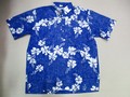 REYN SPOONER レインスプーナー 半袖プルオーバーB/Dシャツ(FROWER ブルー)