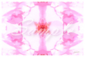 Pic　『桜』