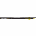 EASTON X10パラレルプロ