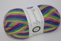 WYS 4Ply(872)  Wildflower