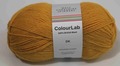 WYS ColourLab DK 229(citrus yellow）