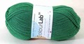 WYS ColourLab DK 363(Bottle Green）