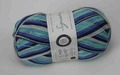 WYS 4Ply(878) Winter Icecle