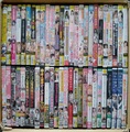 中古アダルトDVD 素人系（H260513-002）