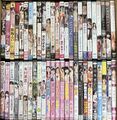 中古アダルトDVD イメージ系50本（25-3-3-2）