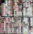 中古アダルトDVD イメージ系50本（25-4-7-3）