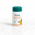 AyurSlim ダイエットサプリ ｜食欲コントロール・脂肪燃焼・代謝サポート アーユルヴェーダ処方 