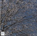 フタリ（藤井郷子、齊藤易子）／ビヨンド (LIBRA202-061)