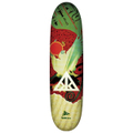 KAONKA DECK -YUSUKE TAKAZAWA EGYPTIAN MYTH 照ス神- FB(8.5")