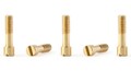 Slot It / Policar　1/32　ｽﾛｯﾄｶｰﾊﾟｰﾂ 　PCH06 ◆CLASSIC F1 MODEL用　MOTOR CRADLE METRIC 2X7ｍｍ SCREWS　ポリカーのロータス72などF1モデル用純正パーツ！★F1用スリムな段付ビス入荷！