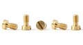 Slot It / Policar　1/32　ｽﾛｯﾄｶｰﾊﾟｰﾂ 　PCH05◆CLASSIC F1 MODEL FRONT SIDE METRIC SCREWS   2.2X3.8ｍｍ          ポリカーのロータス72に純正チューンナップパーツ登場！★F1用スリムな段付ビス入荷！