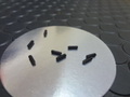 クリックで画像を表示