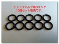 Coleman コールマン ビンテージチェックバルブ用 Oリング 10個セット