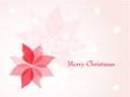 No1082　クリスマスのイラスト　ポインセチア