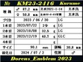 KM25-8番ライン　幼虫　4頭セット　予約