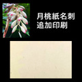 月桃紙名刺（追加印刷50枚）