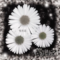 ■ギルティア「雪月花」