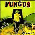 ■FUNGUS 「明日に向って」
