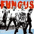 ■FUNGUS「Who cres？」