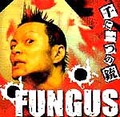 ■FUNGUS「千に一つの銃」