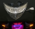 13- Ninja 250/300 LED テール　ウインカー内蔵