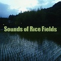 takuya「Sounds of Rice Fields」