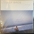 Koji Shibuya「Lots Of Birds」