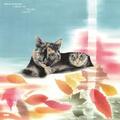 ゑでぃまあこん 「Carpet Of Fallin Leaves」