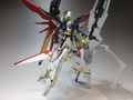 チタニウムフィニッシュテイスト全塗装【プレシャス完成品】 バンダイ  HG 1/144 デスティニーガンダムSpecII & ゼウスシルエット