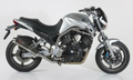 Bos exhaust BT1100 マフラー