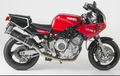 Bos exhaust TRX 850 マフラー