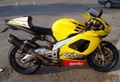 FRESCO RSV 1000 1998-2003 Oval マフラー