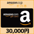 【価格破壊セール】Amazonギフト Eメールタイプ(30,000円)