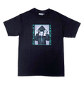 theories tee principle BLACK