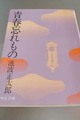 青春忘れもの（文庫）